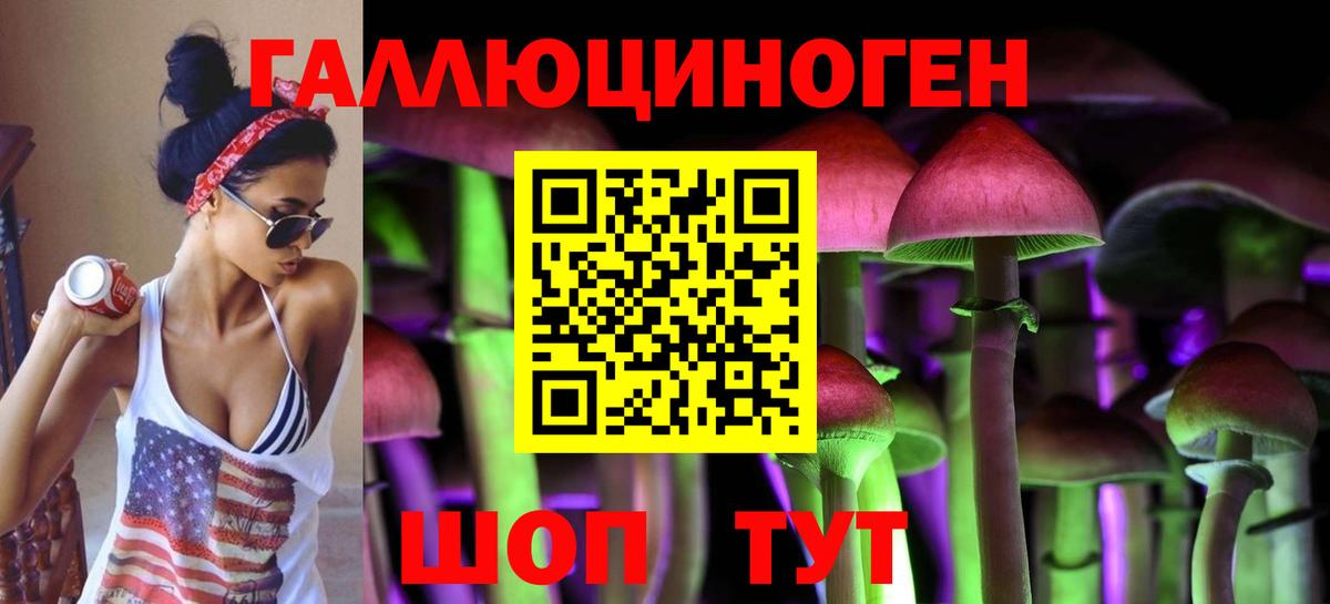 Галлюциногенные грибы Psilocybe Ростов-на-Дону