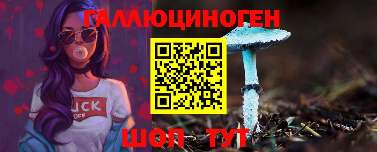 Галлюциногенные грибы GOLDEN TEACHER  Вход с VPN  Ростов-на-Дону 